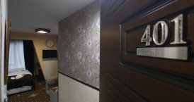 اتاق 401  نمای جنگل و کوه