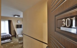 اتاق301   نمای جنگل و کوه